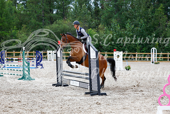 2025 - Haylee - Picco Horse Show - Friay July 25th 01836