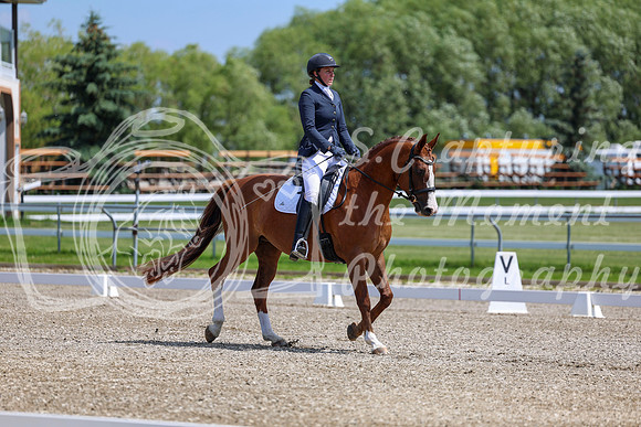 2025 - Dressage Festival - Saturday July 5th - 06365