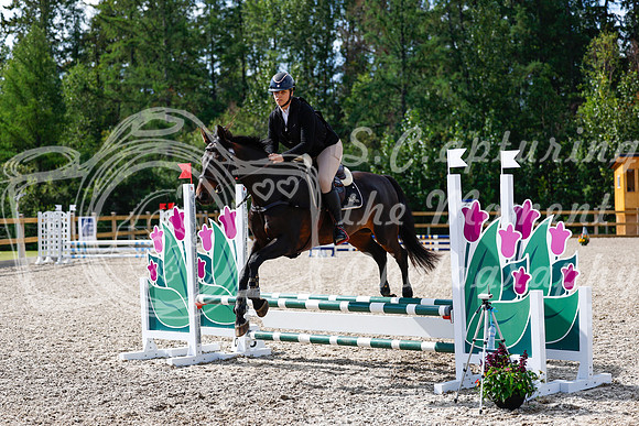 2025 - Haylee - Picco Horse Show - Thursday July 24th 01172