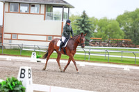 2025 - Dressage Festival - Sunday July 6th - 03569