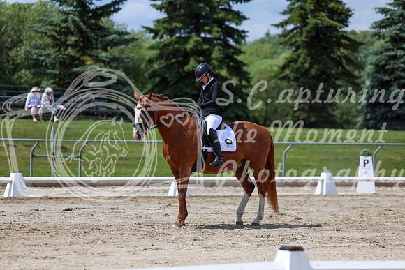 2025 - Dressage Festival - Saturday July 5th - 10084
