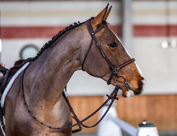 2025 - HJ Schooling - Saturday March 22nd - 6627