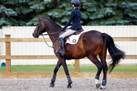 2025 - Haylee - Picco Horse Show - Friay July 25th 00985
