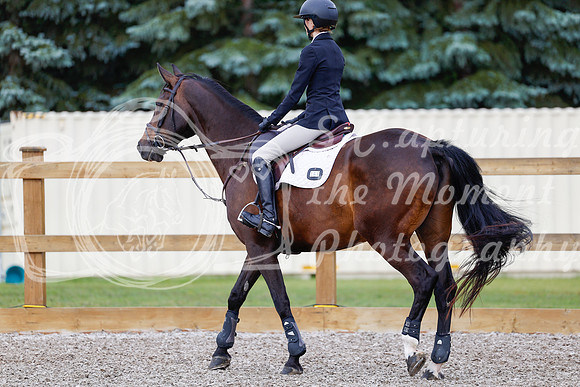 2025 - Haylee - Picco Horse Show - Friay July 25th 00985