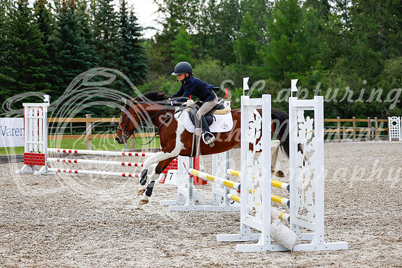 2025 - Haylee - Picco Horse Show - Saturday July 26th 01861