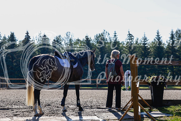 2025 - Haylee - Picco Horse Show - Thursday July 24th 00019