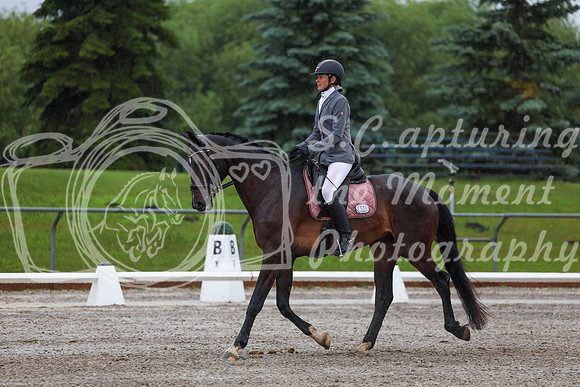 2025 - Dressage Festival - Sunday July 6th - 00623