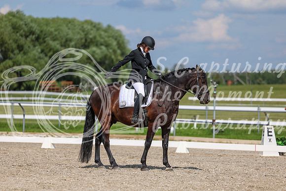 2025 - Dressage Festival - Saturday July 5th - 15228