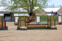 2025 - Shea - Bow Valley II - Friday May 16th - 05146