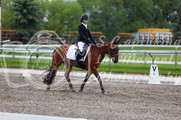 2025 - Dressage Festival - Sunday July 6th - 05557