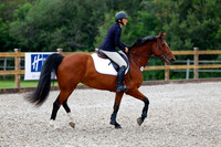 2025 - Haylee - Picco Horse Show - Saturday July 26th 01009