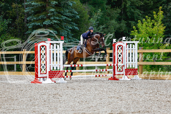 2025 - Haylee - Picco Horse Show - Friay July 25th 01889
