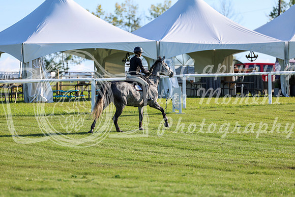 2025 - Shea - Teesdale - Friday July 25th - 03395