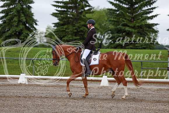 2025 - Dressage Festival - Sunday July 6th - 01325