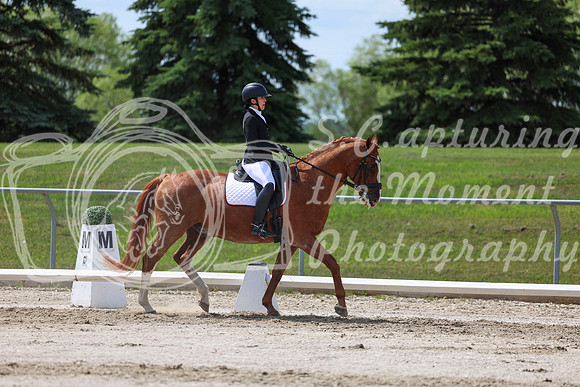 2025 - Dressage Festival - Saturday July 5th - 10166