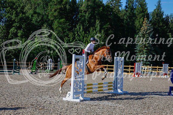 2025 - Haylee - Picco Horse Show - Thursday July 24th 00369