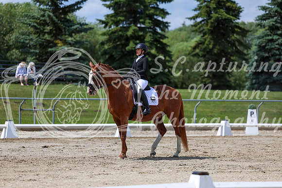 2025 - Dressage Festival - Saturday July 5th - 10090