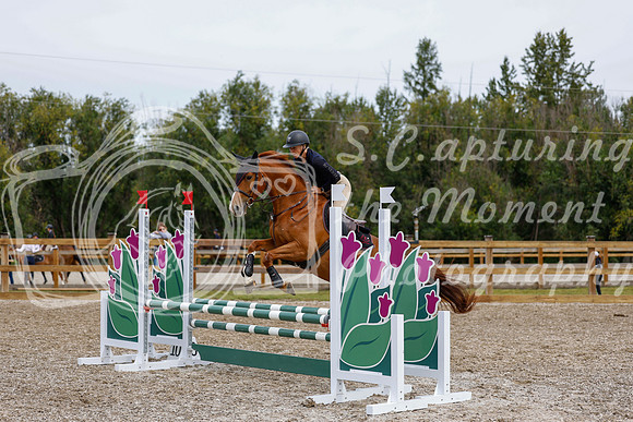 2025 - Haylee - Picco Horse Show - Friay July 25th 01778