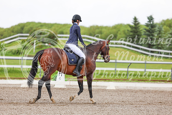 2025 - Dressage Festival - Sunday July 6th - 02134