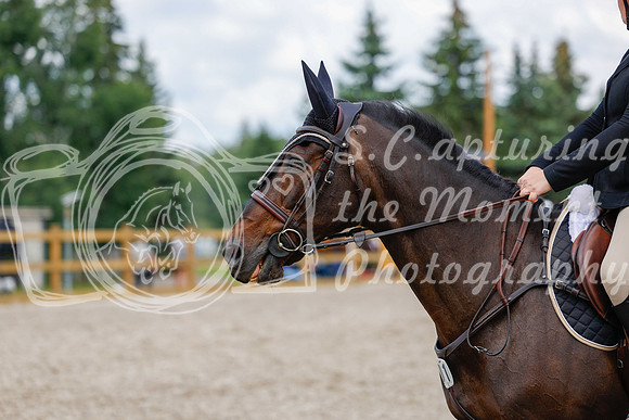 2025 - Haylee - Picco Horse Show - Saturday July 26th 06535