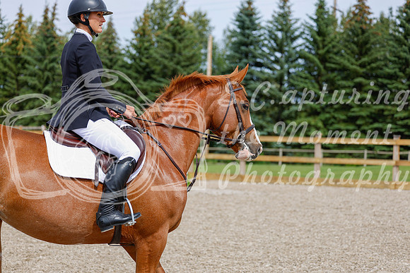 2025 - Haylee - Picco Horse Show - Friay July 25th 04217
