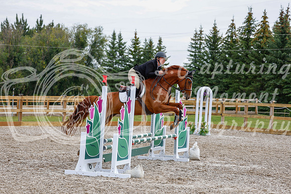 2025 - Haylee - Picco Horse Show - Saturday July 26th 02652