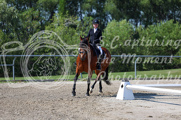 2025 - Dressage Festival - Saturday July 5th - 01858