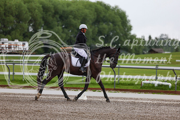 2025 - Dressage Festival - Sunday July 6th - 01286