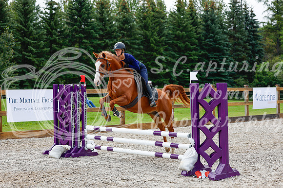 2025 - Haylee - Picco Horse Show - Sunday July 27th 01928