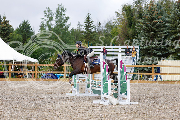 2025 - Haylee - Picco Horse Show - Sunday July 27th 01038