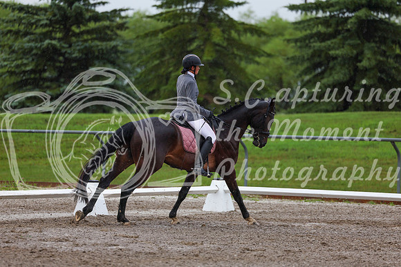 2025 - Dressage Festival - Sunday July 6th - 00720