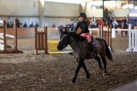 2025 - HJ Schooling - Sunday March 23rd - 3284