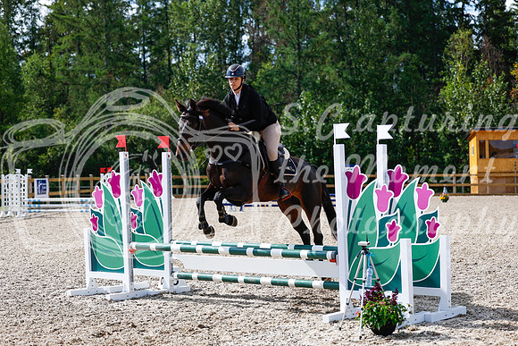 2025 - Haylee - Picco Horse Show - Thursday July 24th 01170