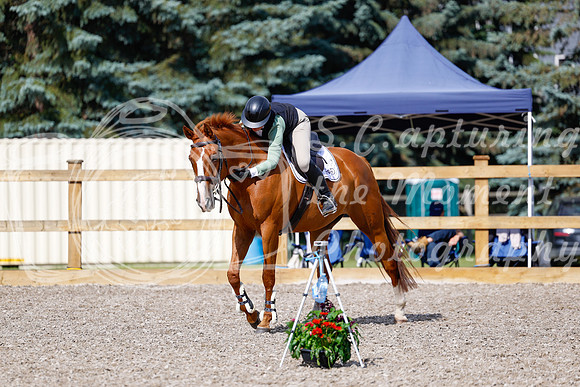 2025 - Haylee - Picco Horse Show - Thursday July 24th 01267