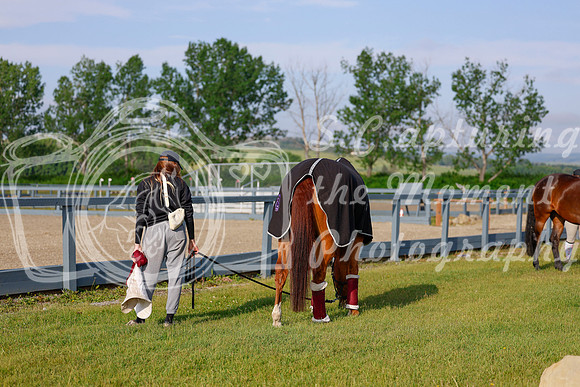 2025 - Haylee - June Classic I - Friday June 13th - 01732