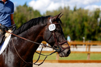 2025 - Haylee - Picco Horse Show - Friay July 25th 05554