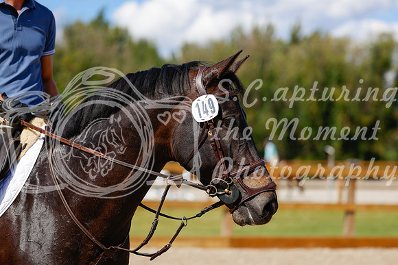 2025 - Haylee - Picco Horse Show - Friay July 25th 05554