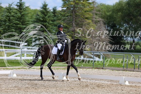 2025 - Dressage Festival - Saturday July 5th - 11466