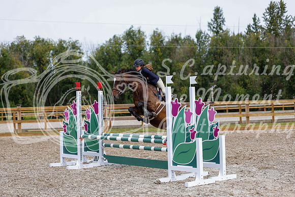 2025 - Haylee - Picco Horse Show - Friay July 25th 01910