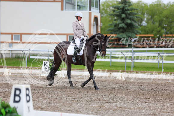 2025 - Dressage Festival - Sunday July 6th - 10446