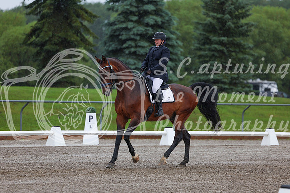 2025 - Dressage Festival - Sunday July 6th - 00350