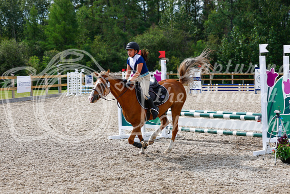2025 - Haylee - Picco Horse Show - Thursday July 24th 01328