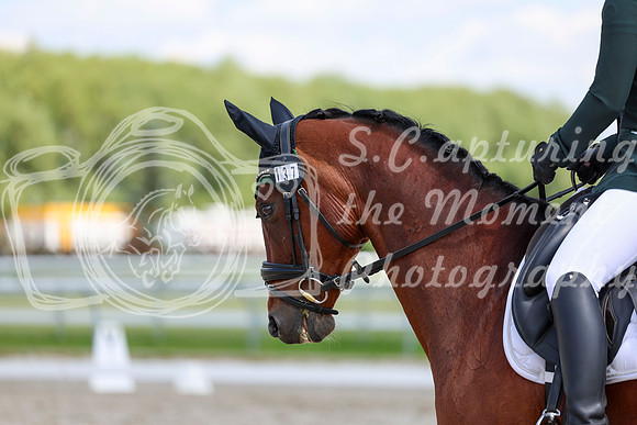 2025 - Dressage Festival - Saturday July 5th - 09404