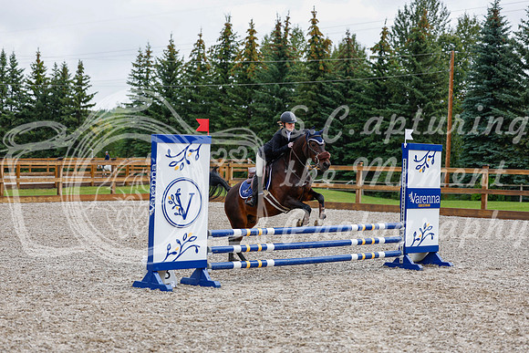 2025 - Haylee - Picco Horse Show - Sunday July 27th 01043