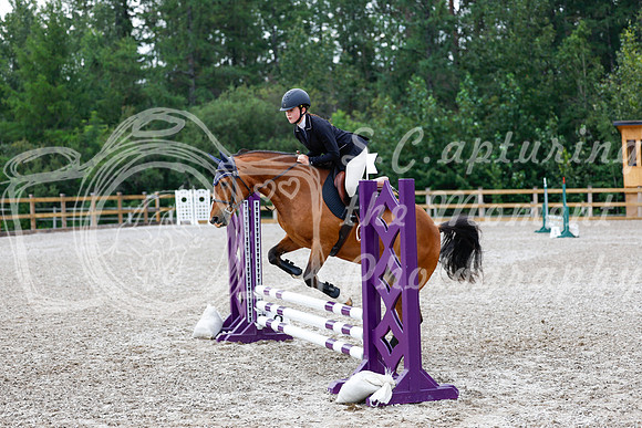 2025 - Haylee - Picco Horse Show - Saturday July 26th 01134