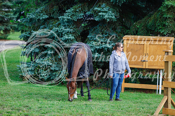 2025 - Haylee - Picco Horse Show - Saturday July 26th 00025