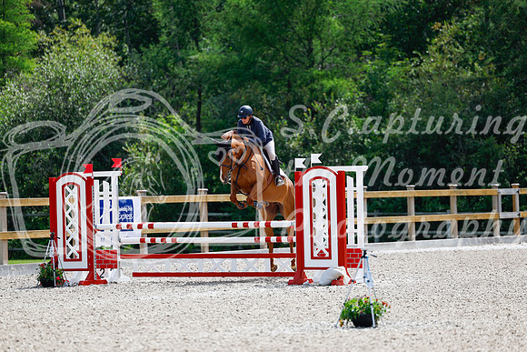 2025 - Haylee - Picco Horse Show - Sunday July 27th 04285