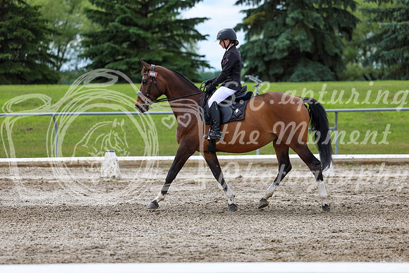 2025 - Dressage Festival - Sunday July 6th - 14419