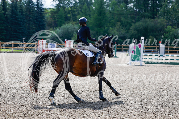 2025 - Haylee - Picco Horse Show - Sunday July 27th 02411