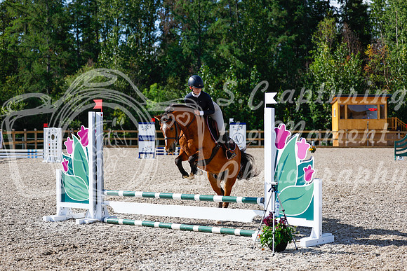 2025 - Haylee - Picco Horse Show - Thursday July 24th 00911